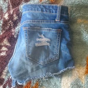 Daytrip shorts